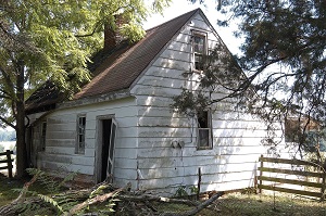 Sherwood Forest Plantation